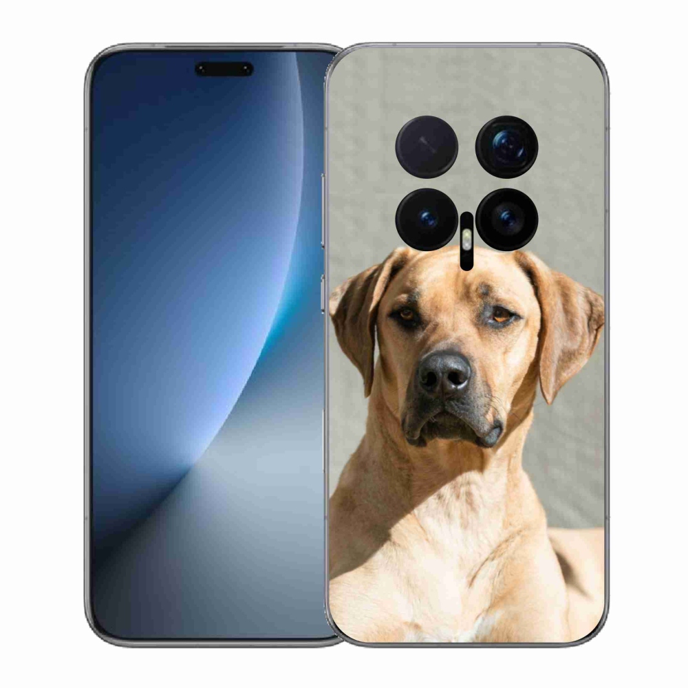 Gelový kryt mmCase na Honor Magic 8 Pro - ridgeback