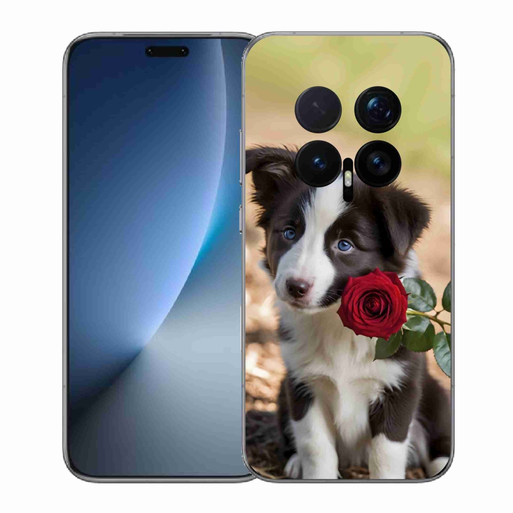 Gelový kryt mmCase na Honor Magic 8 Pro - roztomilá border kolie s růží