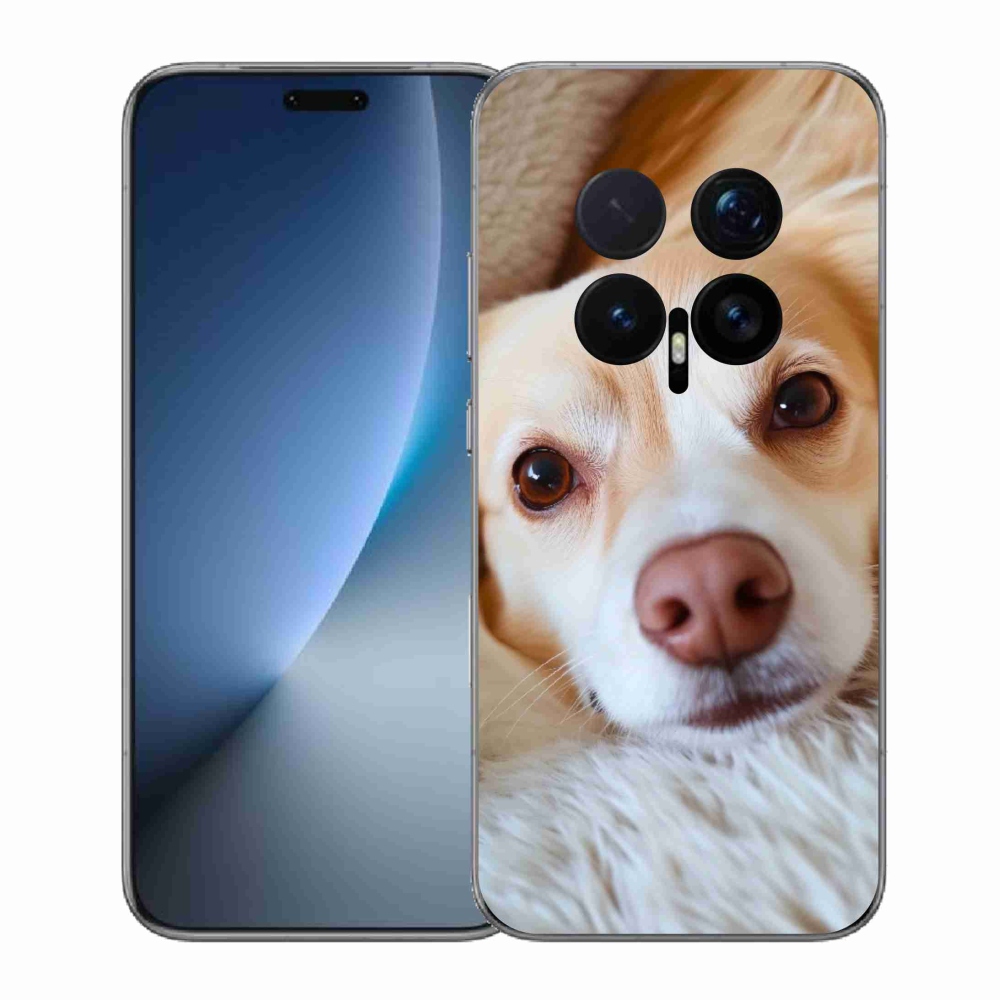 Gelový kryt mmCase na Honor Magic 8 Pro - Roztomilá čivava