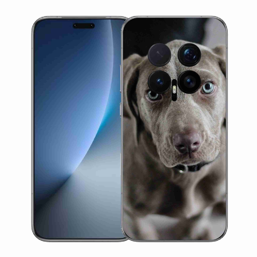 Gelový kryt mmCase na Honor Magic 8 Pro - výmarský ohař