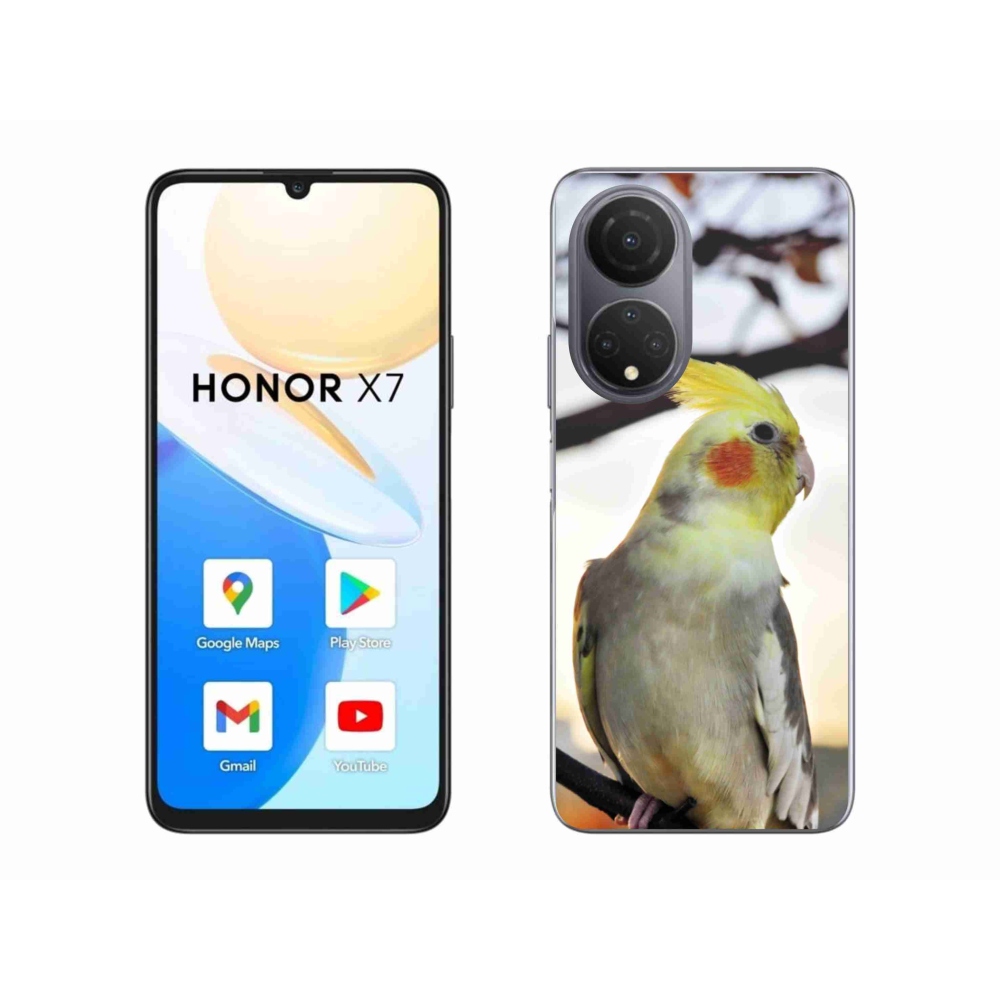 Gelový kryt mmCase na Honor X7 - papoušek korela