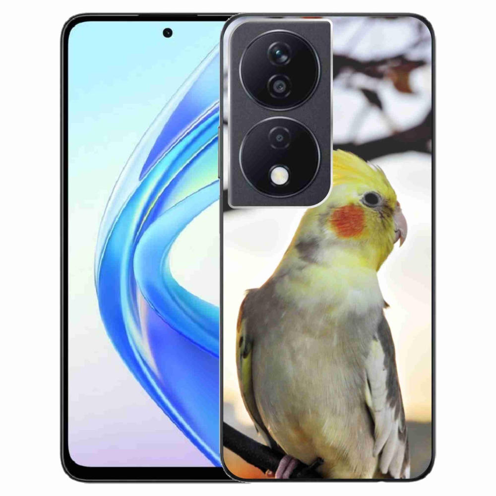 Gelový kryt mmCase na Honor X7b - papoušek korela