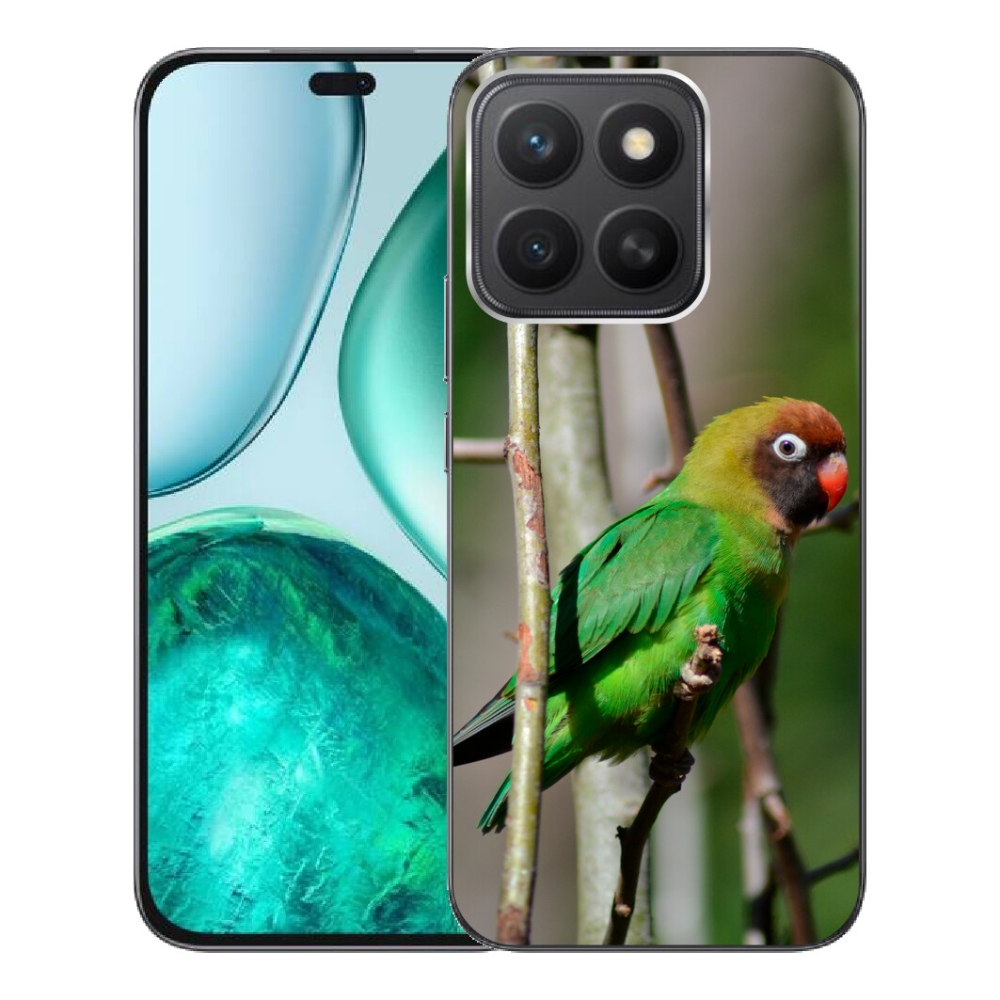 Gelový kryt mmCase na Honor X8c - papoušek agapornis