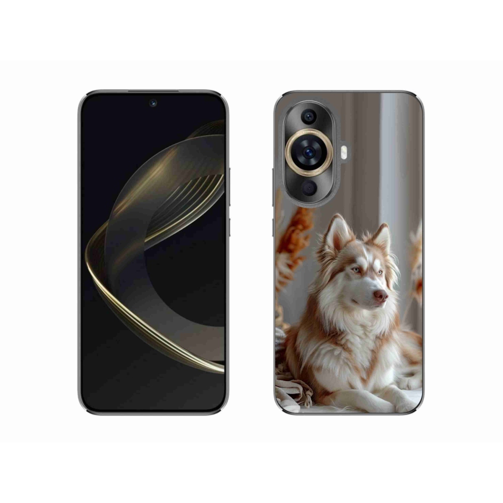 Gelový kryt mmCase na Huawei Nova 11 - klidný sibiřský husky