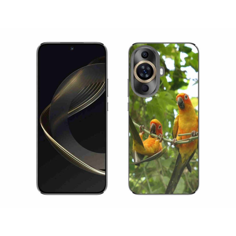 Gelový kryt mmCase na Huawei Nova 11 - papoušci aratingy