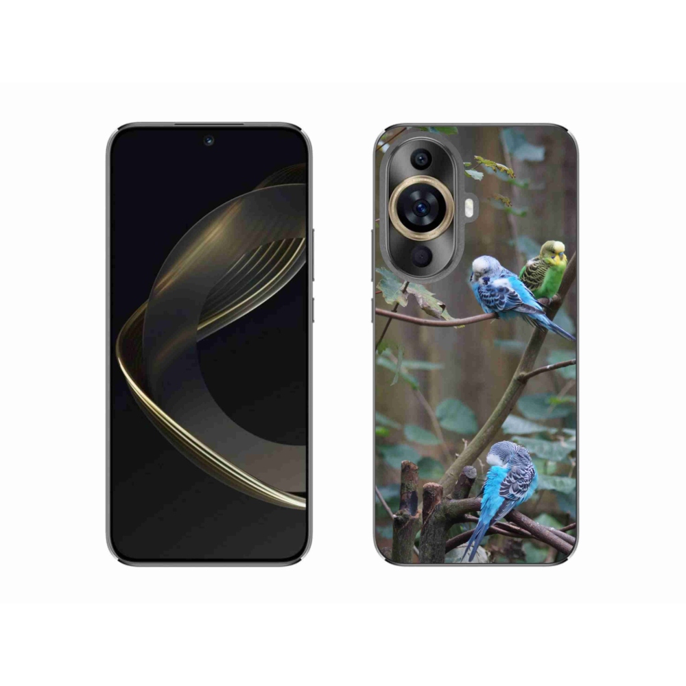 Gelový kryt mmCase na Huawei Nova 11 - papoušci na větvi