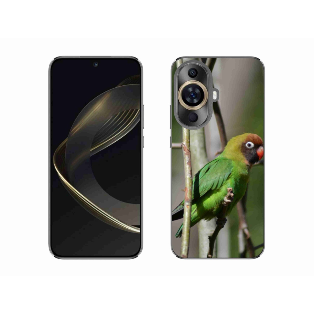Gelový kryt mmCase na Huawei Nova 11 - papoušek agapornis