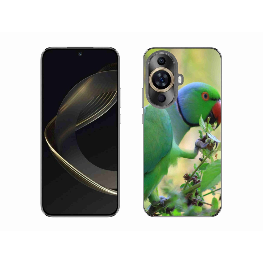 Gelový kryt mmCase na Huawei Nova 11 - papoušek alexandr