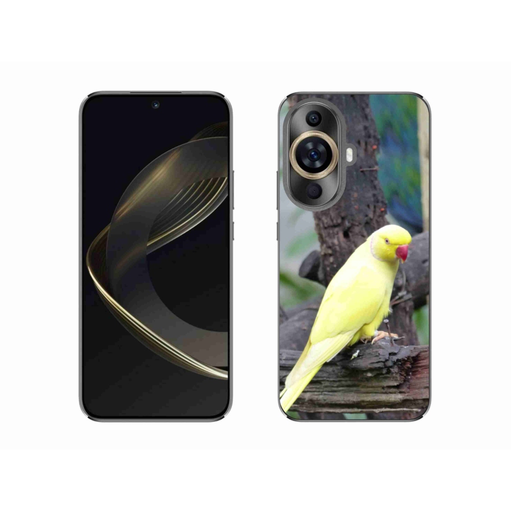 Gelový kryt mmCase na Huawei Nova 11 - papoušek alexandr žlutý