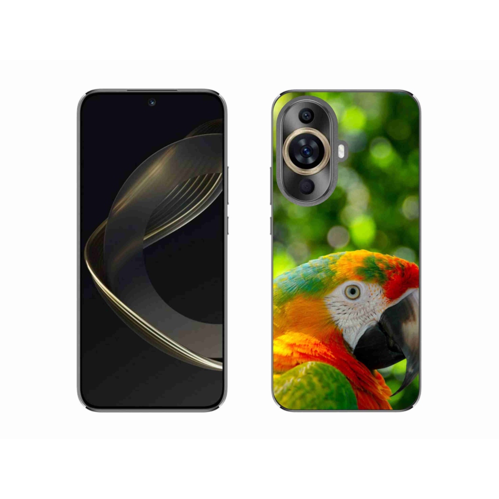 Gelový kryt mmCase na Huawei Nova 11 - papoušek ara 3