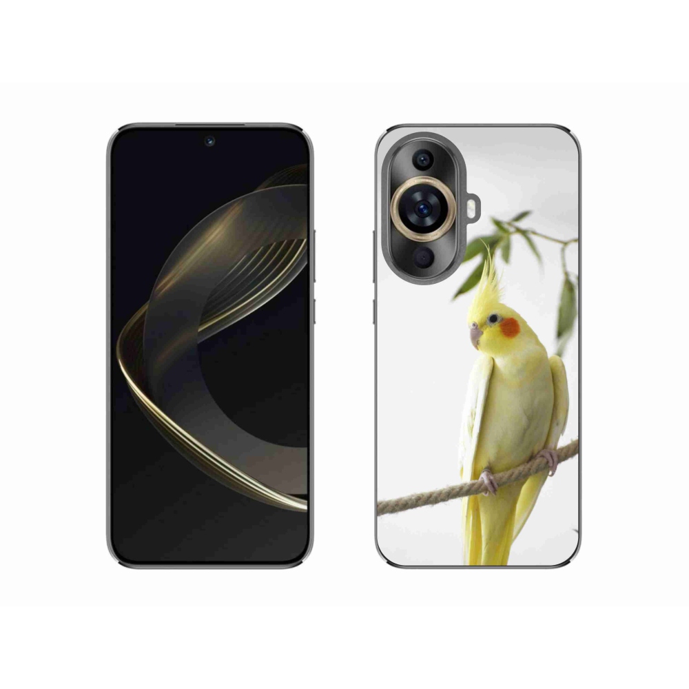 Gelový kryt mmCase na Huawei Nova 11 - papoušek korela chocholatá
