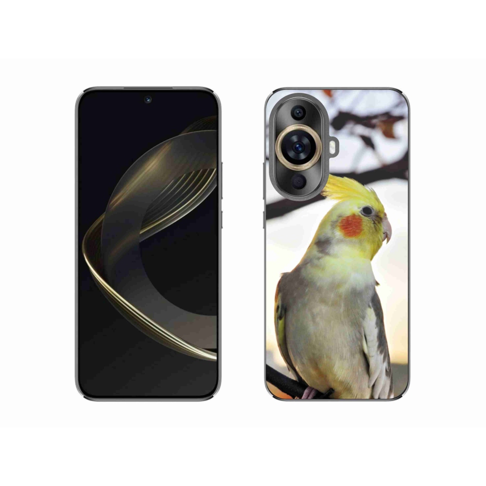 Gelový kryt mmCase na Huawei Nova 11 - papoušek korela
