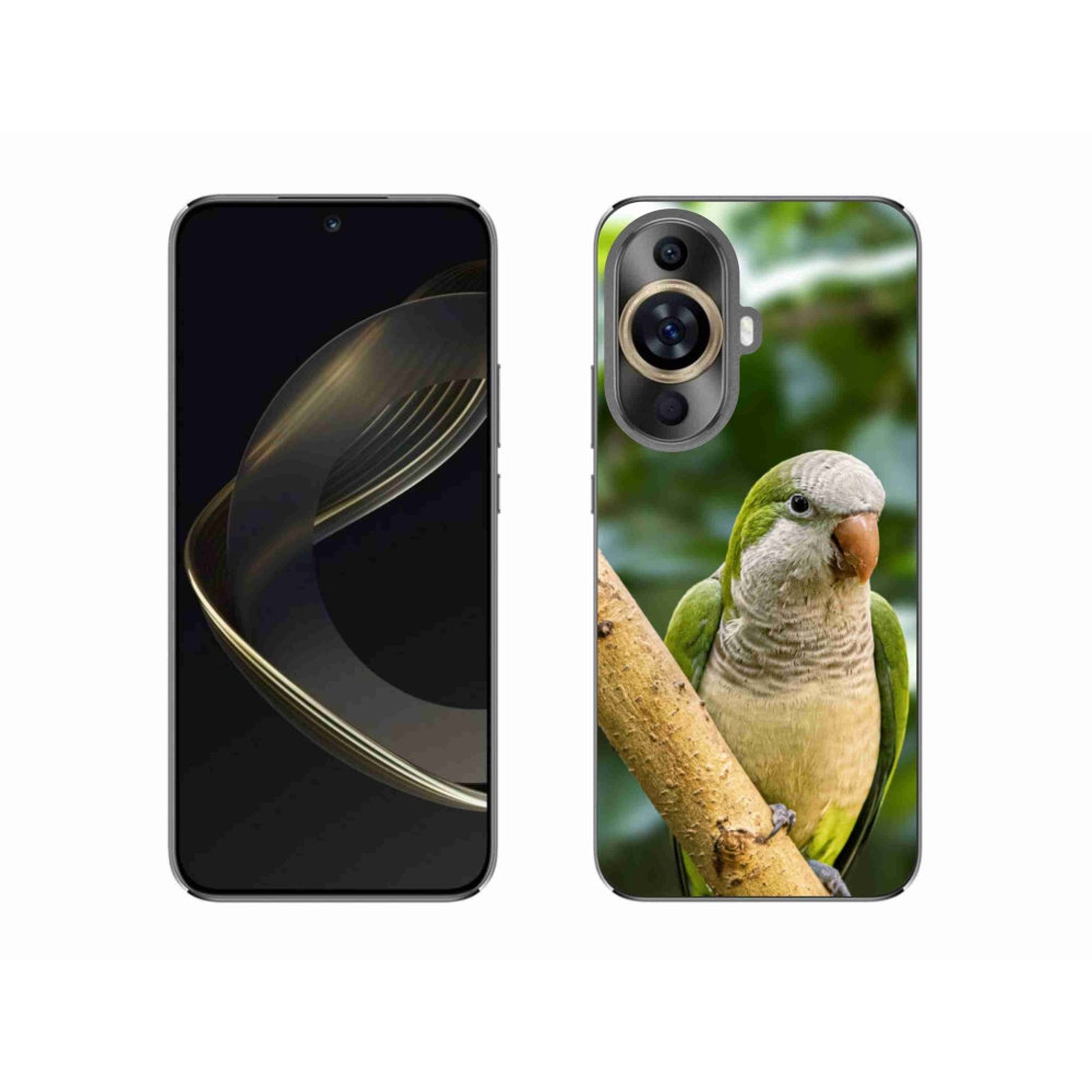 Gelový kryt mmCase na Huawei Nova 11 - papoušek mníšek