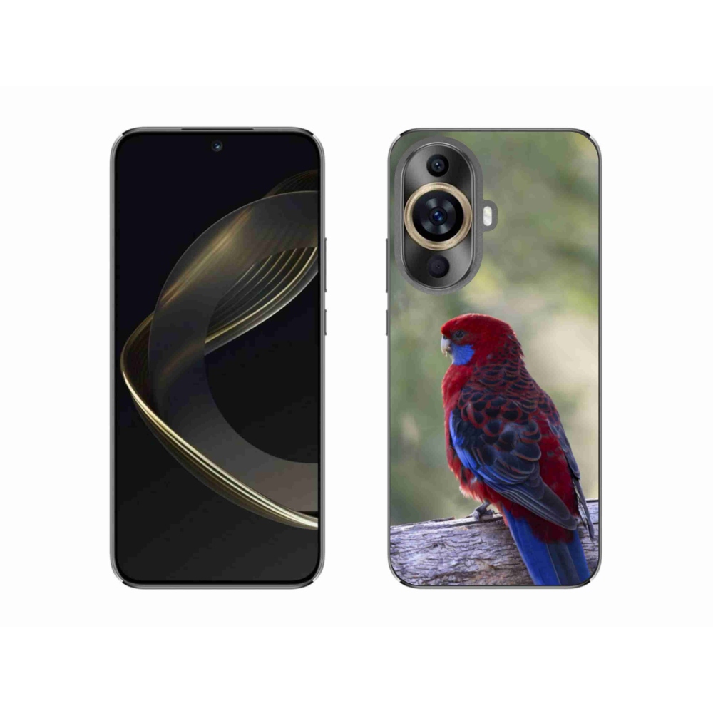 Gelový kryt mmCase na Huawei Nova 11 - papoušek rosela
