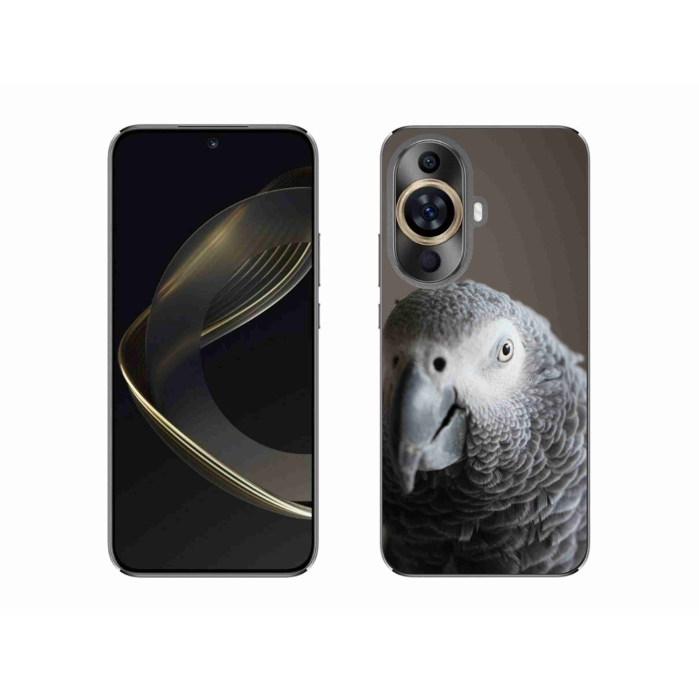 Gelový kryt mmCase na Huawei Nova 11 - papoušek žako 2
