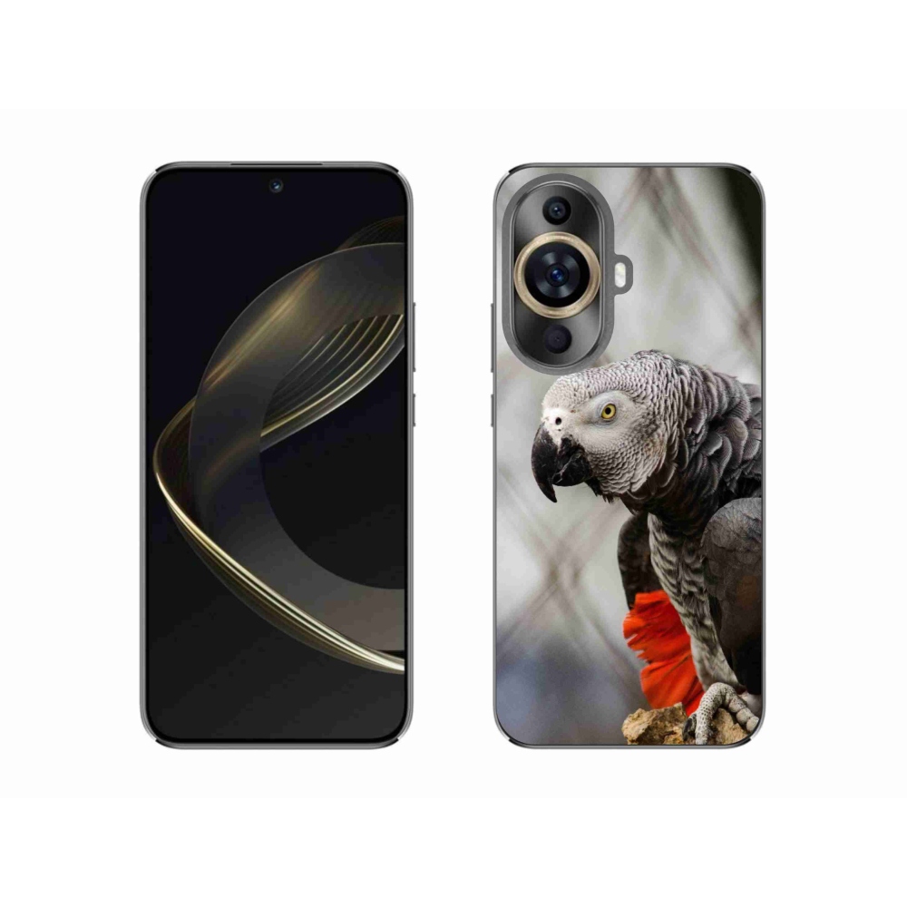 Gelový kryt mmCase na Huawei Nova 11 - papoušek žako 3