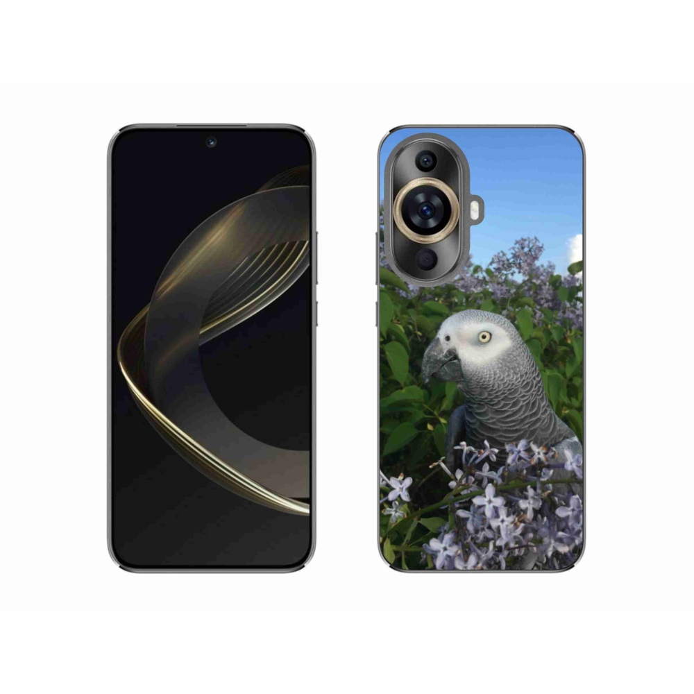 Gelový kryt mmCase na Huawei Nova 11 - papoušek žako