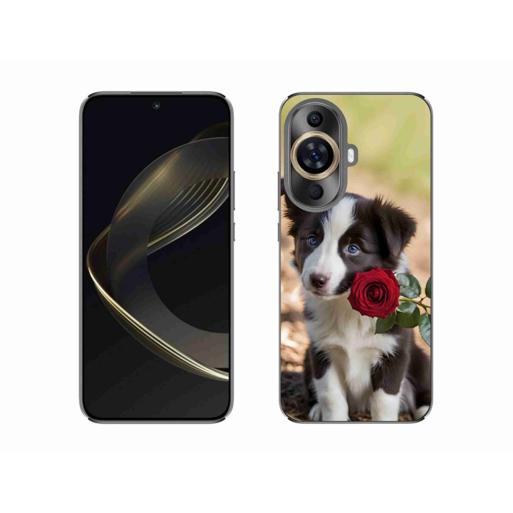Gelový kryt mmCase na Huawei Nova 11 - roztomilá border kolie s růží