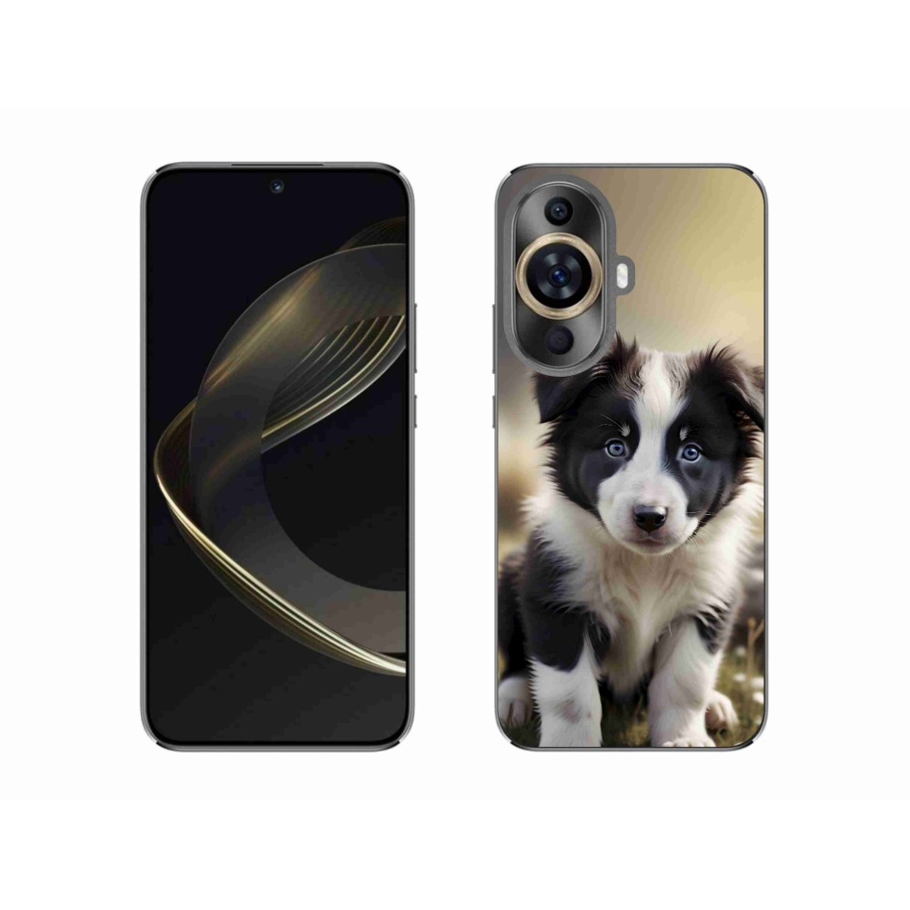 Gelový kryt mmCase na Huawei Nova 11 - roztomilá border kolie