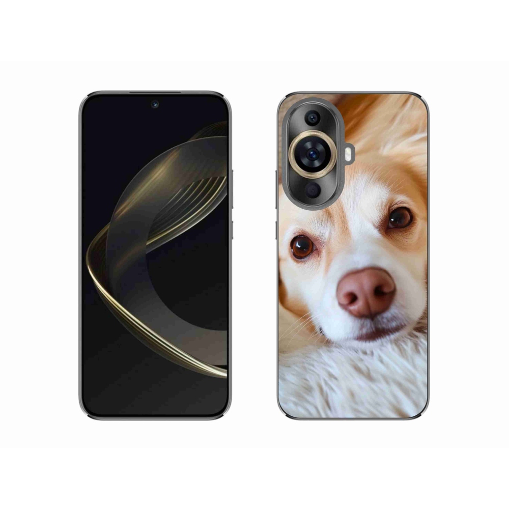 Gelový kryt mmCase na Huawei Nova 11 - Roztomilá čivava