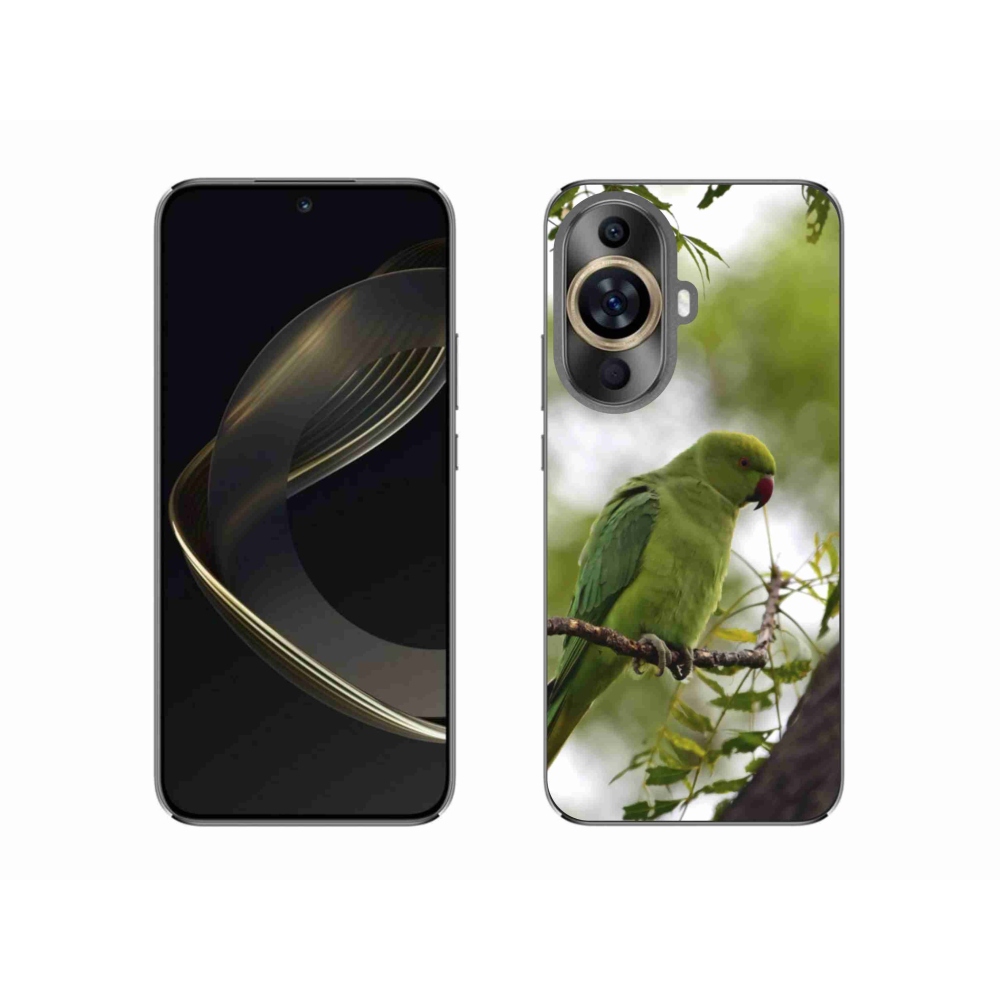 Gelový kryt mmCase na Huawei Nova 11 - zelený papoušek