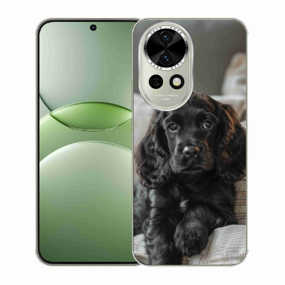 Gelový kryt mmCase na Huawei Nova 13 5G - anglický kokršpaněl