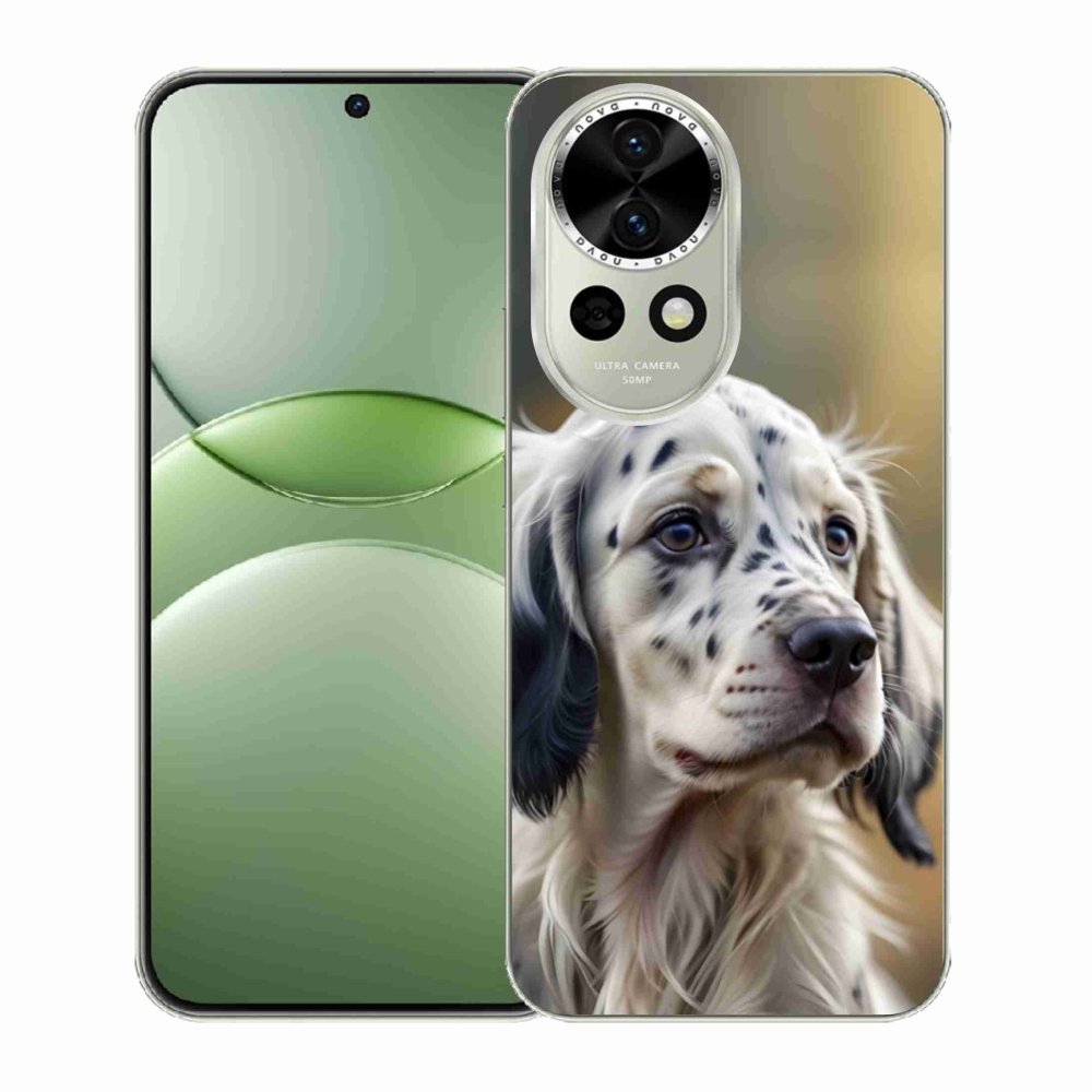 Gelový kryt mmCase na Huawei Nova 13 5G - anglický setr