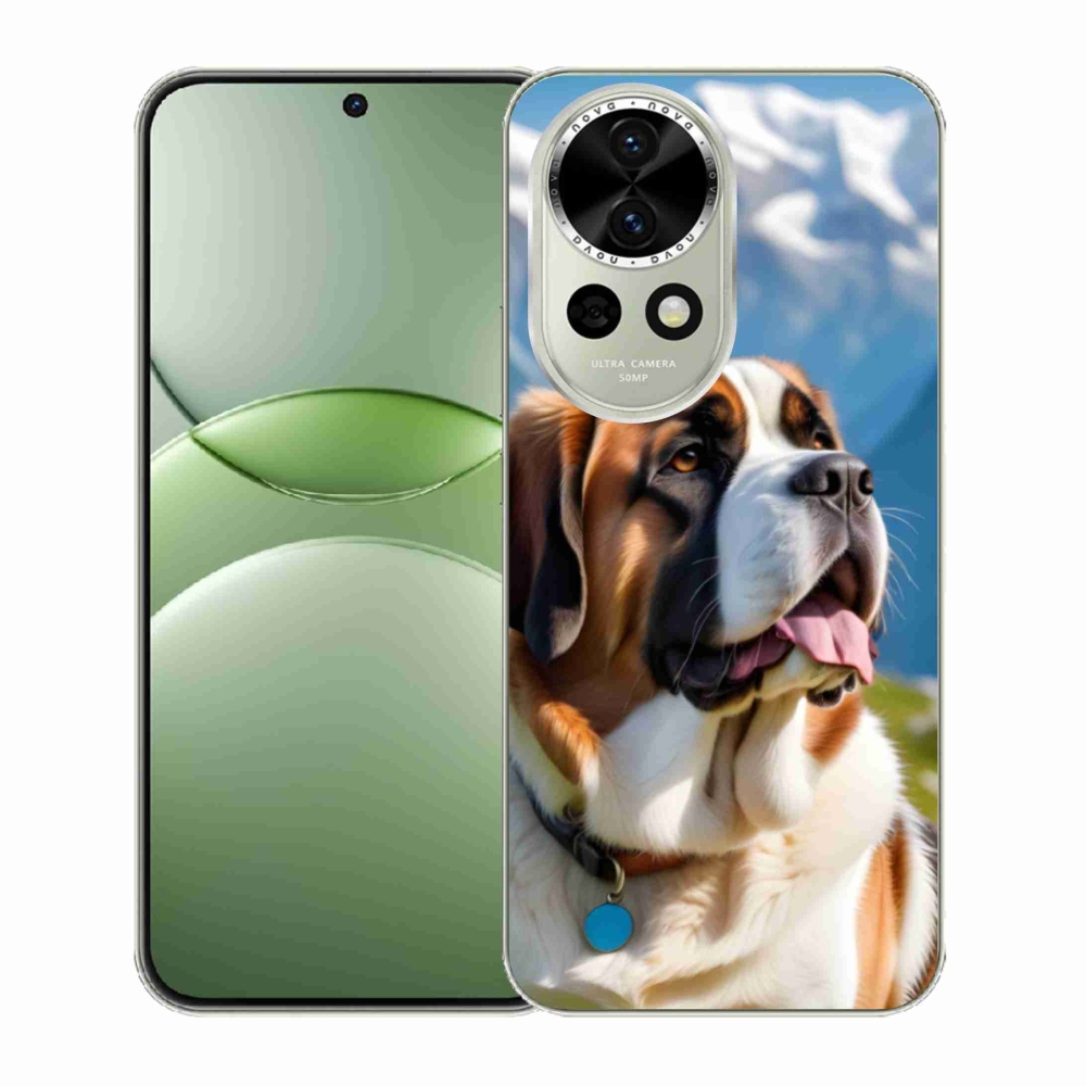 Gelový kryt mmCase na Huawei Nova 13 5G - bernardýn