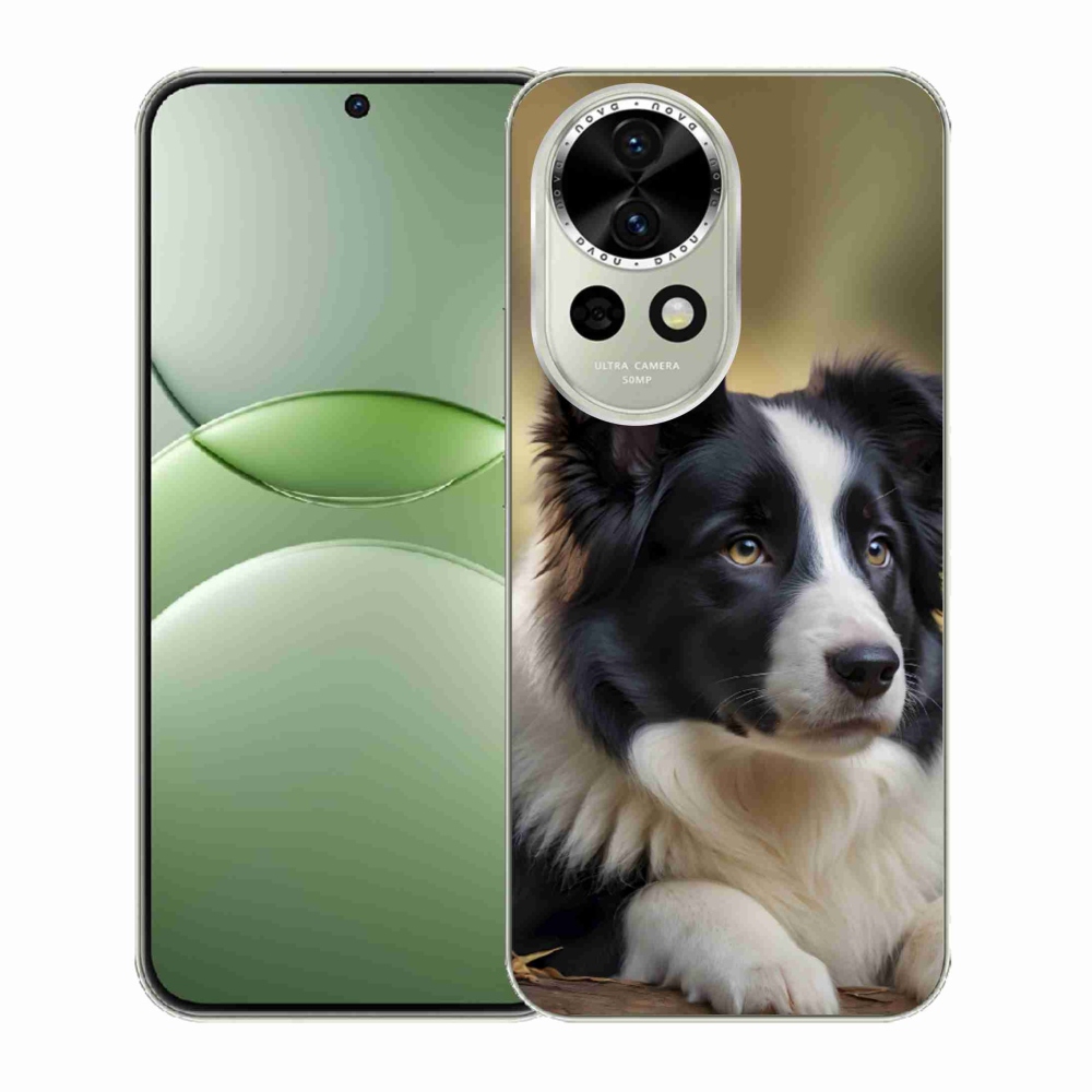 Gelový kryt mmCase na Huawei Nova 13 5G - border kolie 2