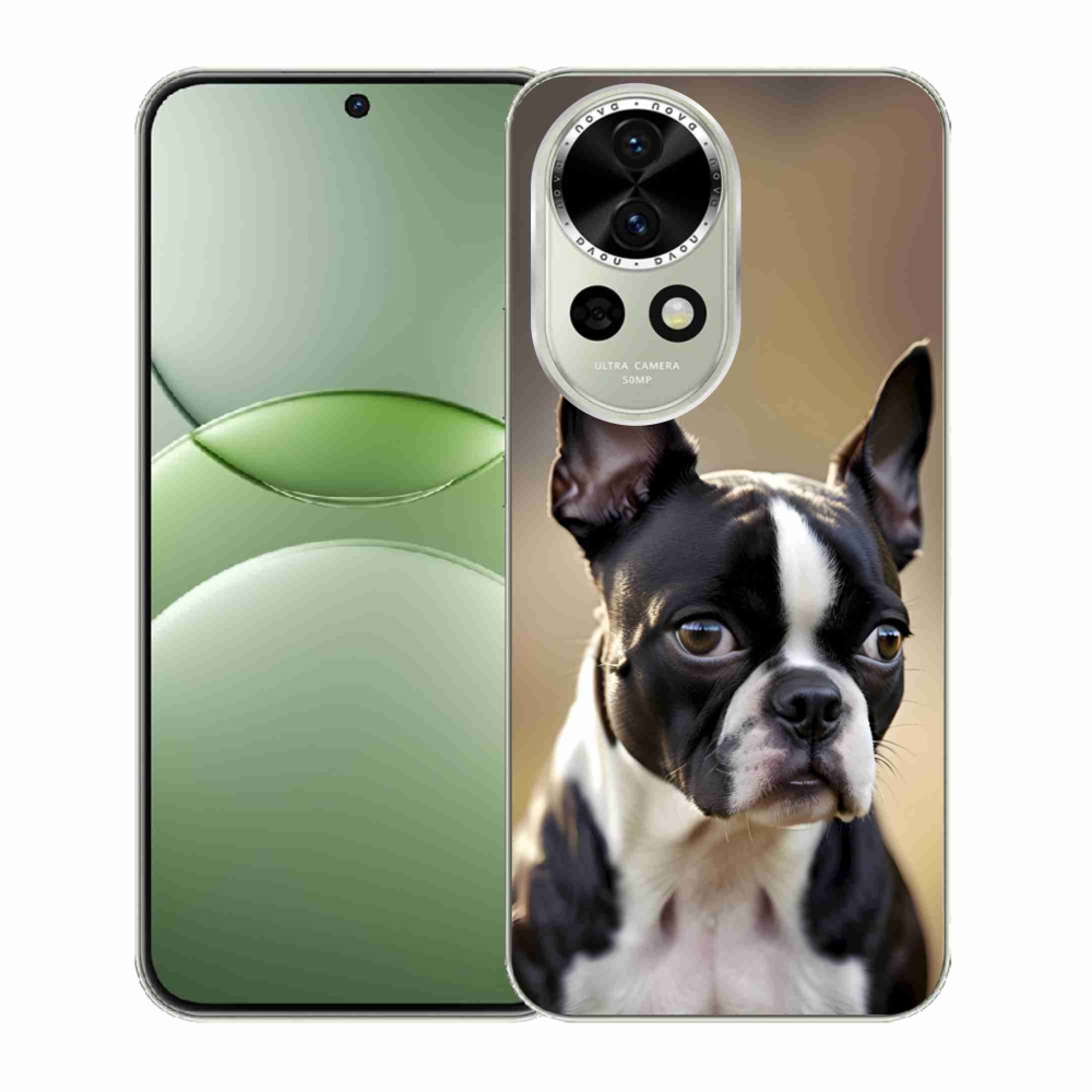 Gelový kryt mmCase na Huawei Nova 13 5G - bostonský teriér