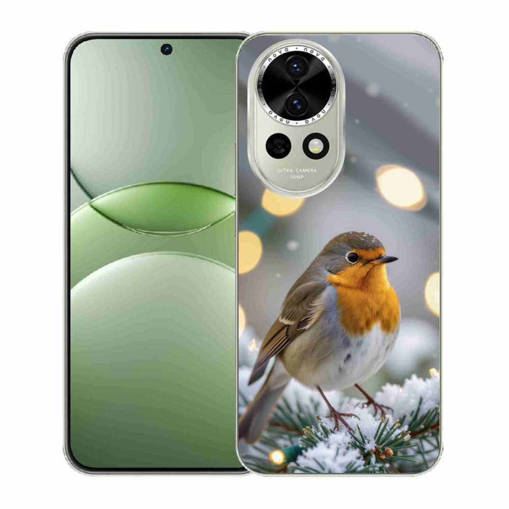 Gelový kryt mmCase na Huawei Nova 13 5G - červenka v zimě