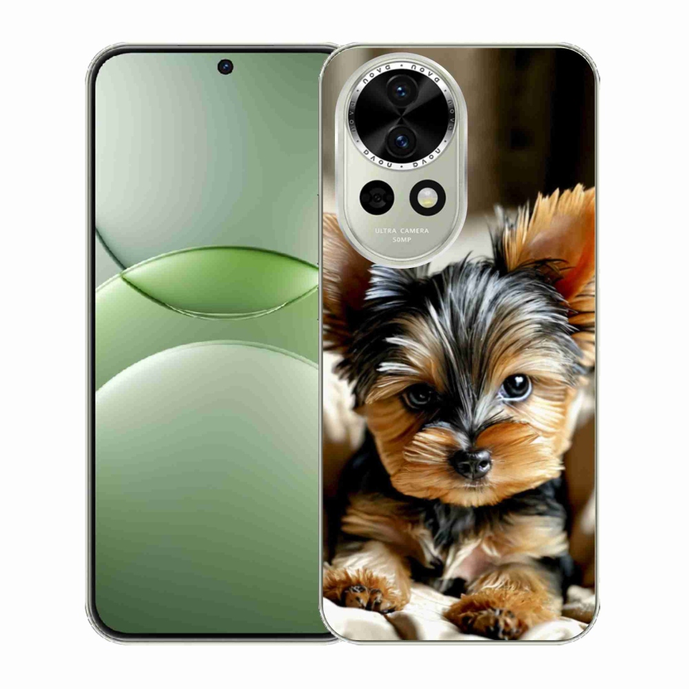 Gelový kryt mmCase na Huawei Nova 13 5G - jorkšír 11