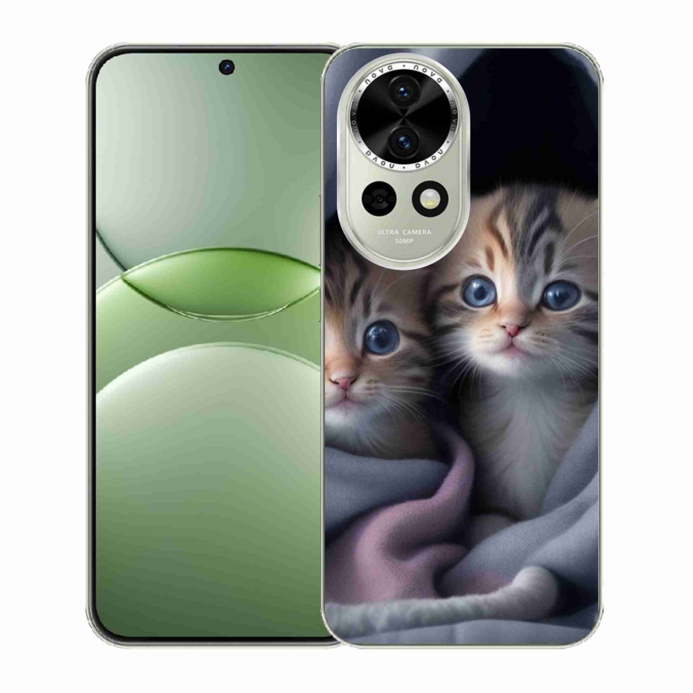 Gelový kryt mmCase na Huawei Nova 13 5G - kočičí duo 2