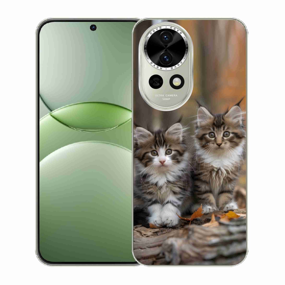 Gelový kryt mmCase na Huawei Nova 13 5G - kočičí duo 3