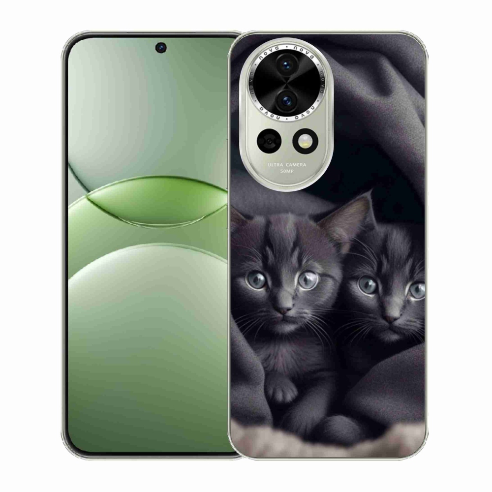 Gelový kryt mmCase na Huawei Nova 13 5G - kočičí duo