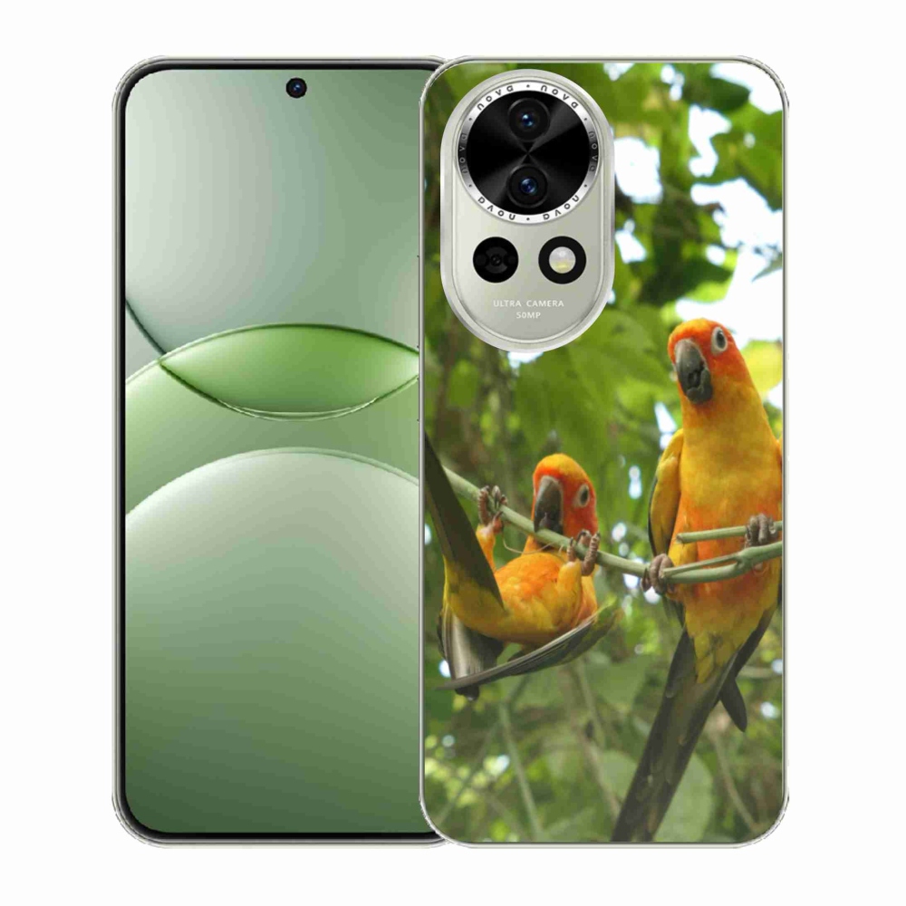Gelový kryt mmCase na Huawei Nova 13 5G - papoušci aratingy