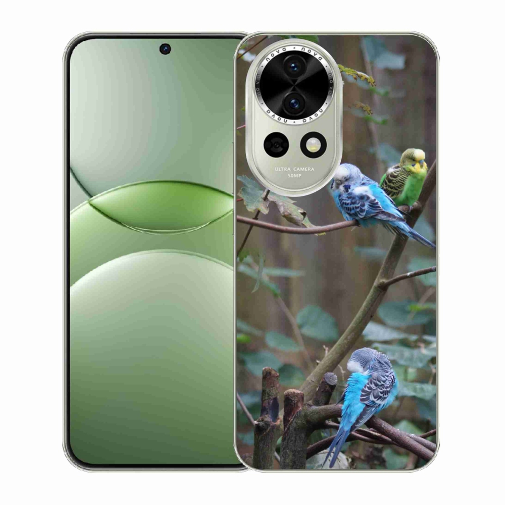 Gelový kryt mmCase na Huawei Nova 13 5G - papoušci na větvi