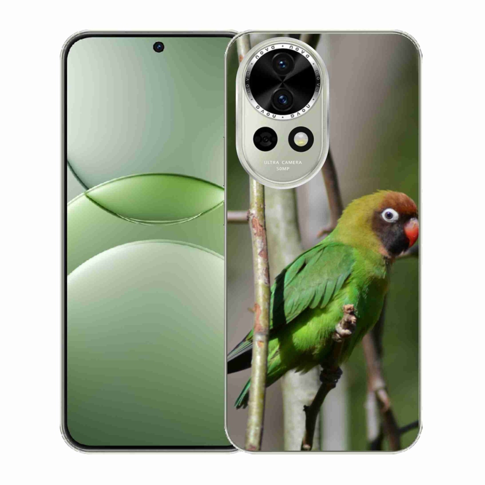 Gelový kryt mmCase na Huawei Nova 13 5G - papoušek agapornis