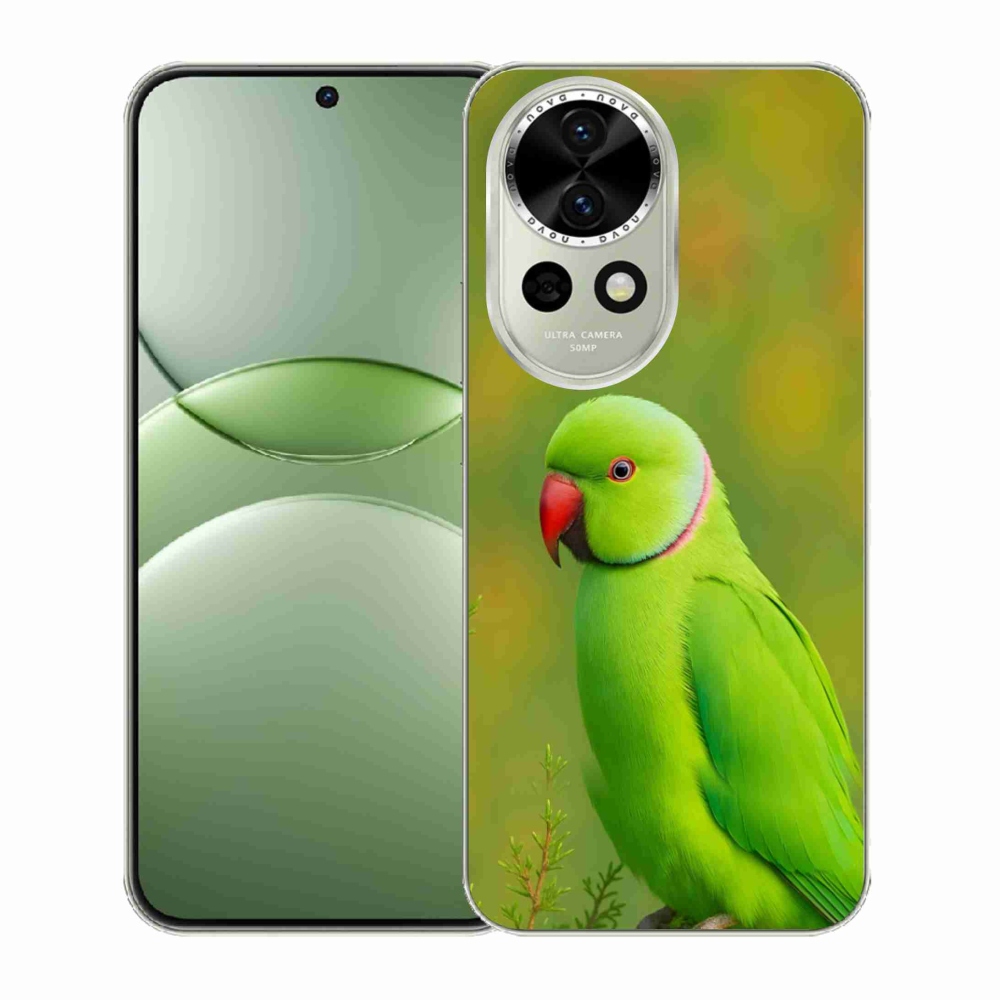 Gelový kryt mmCase na Huawei Nova 13 5G - papoušek alexandr 2