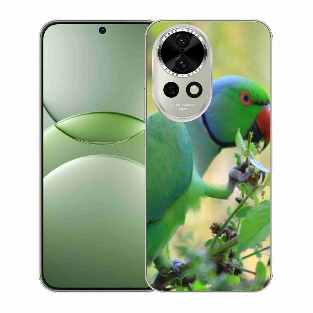 Gelový kryt mmCase na Huawei Nova 13 5G - papoušek alexandr