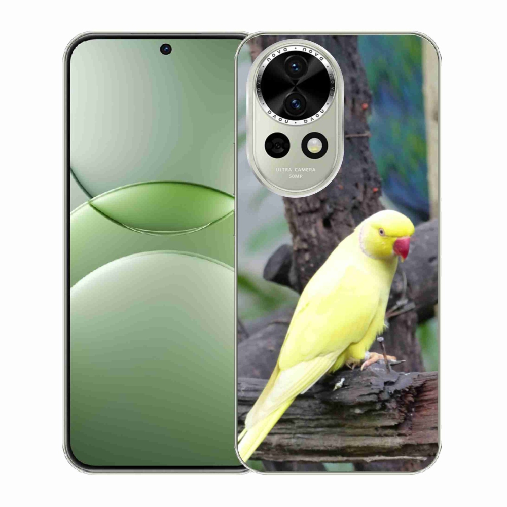 Gelový kryt mmCase na Huawei Nova 13 5G - papoušek alexandr žlutý