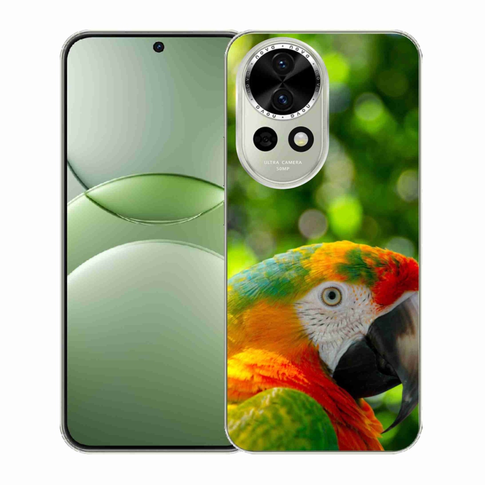 Gelový kryt mmCase na Huawei Nova 13 5G - papoušek ara 3