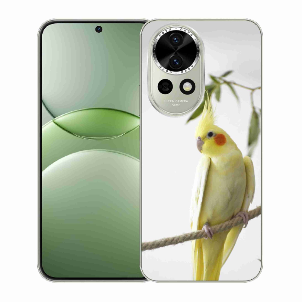 Gelový kryt mmCase na Huawei Nova 13 5G - papoušek korela chocholatá