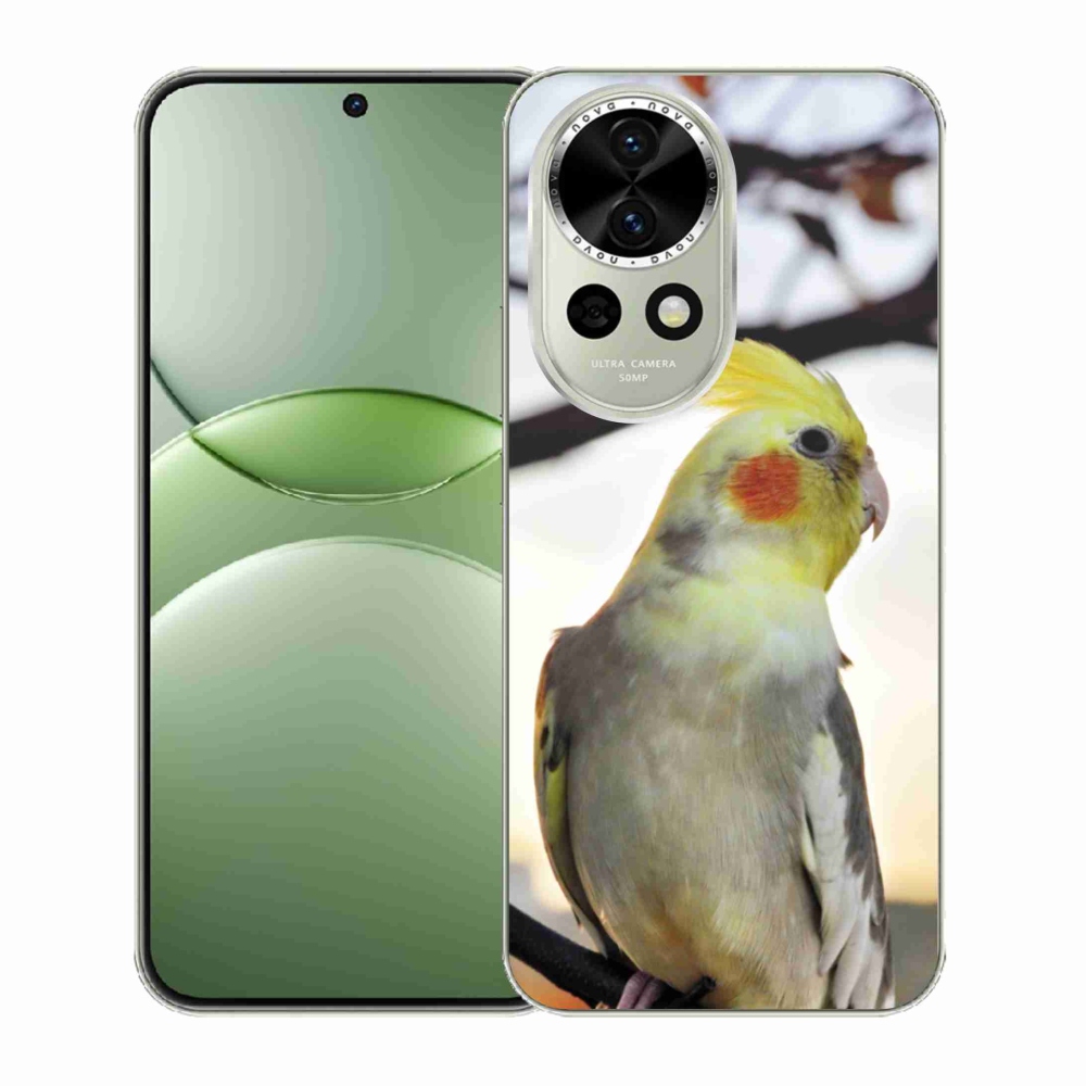Gelový kryt mmCase na Huawei Nova 13 5G - papoušek korela