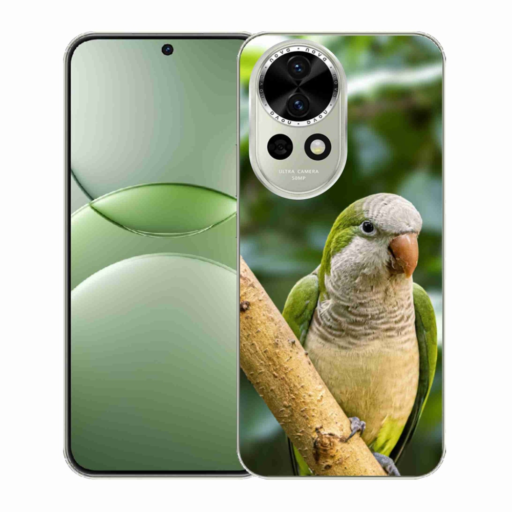 Gelový kryt mmCase na Huawei Nova 13 5G - papoušek mníšek