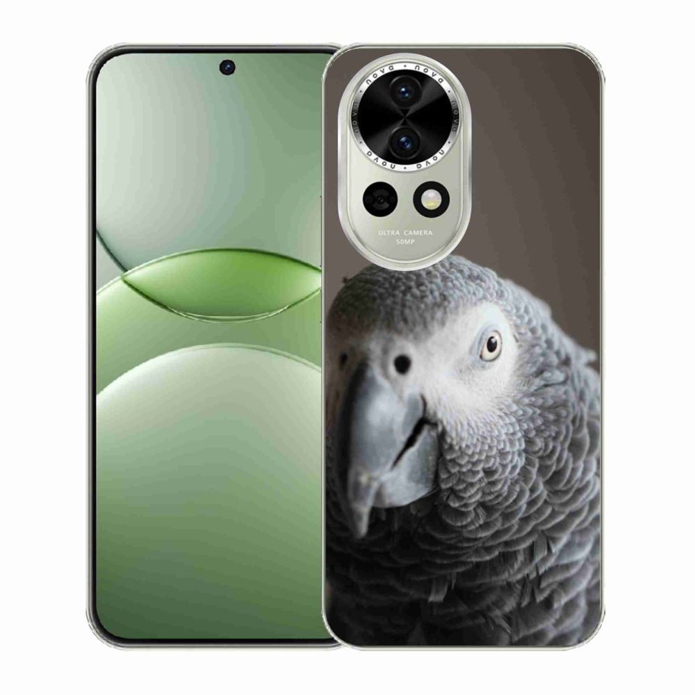 Gelový kryt mmCase na Huawei Nova 13 5G - papoušek žako 2