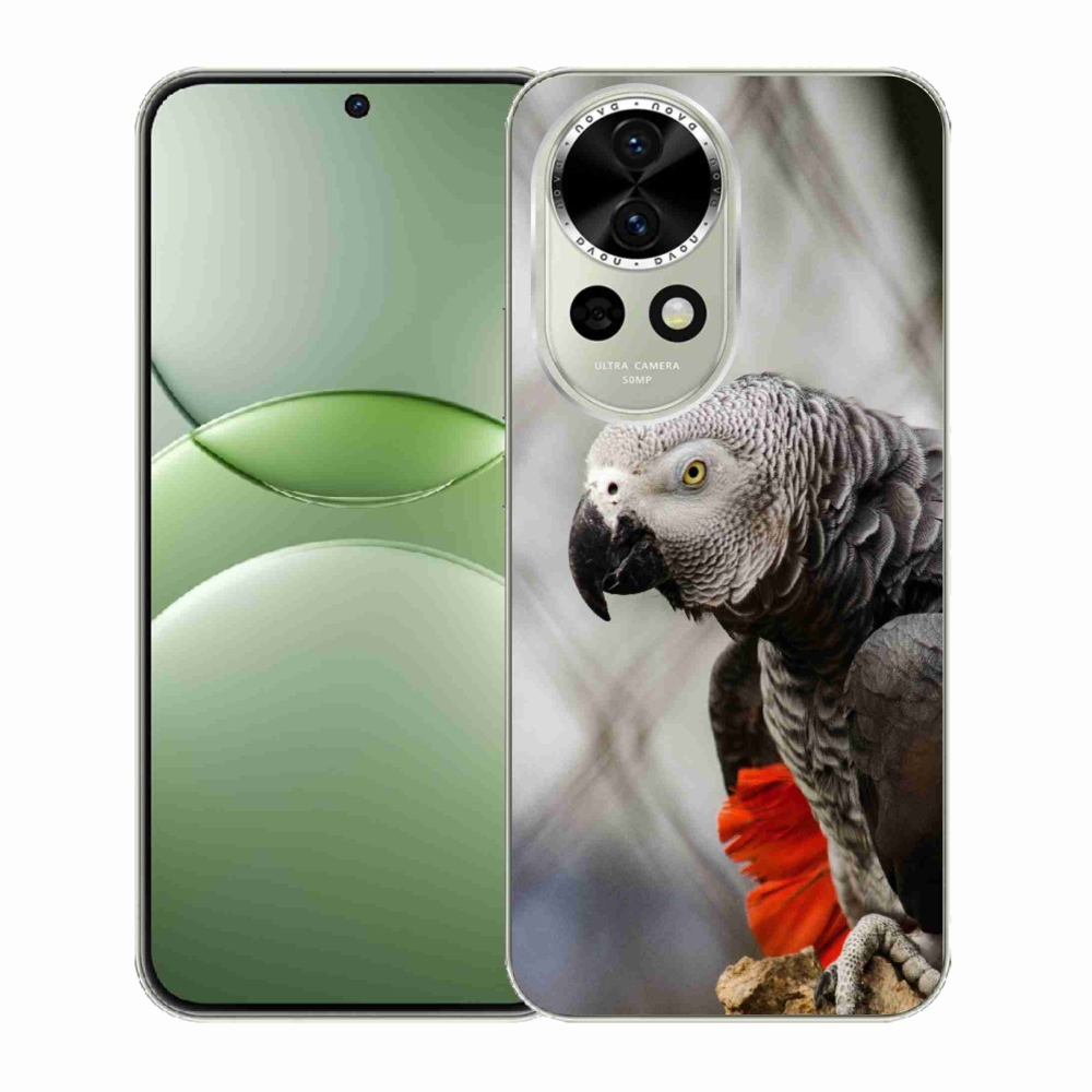 Gelový kryt mmCase na Huawei Nova 13 5G - papoušek žako 3