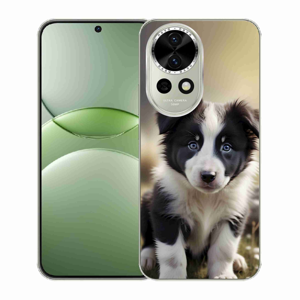 Gelový kryt mmCase na Huawei Nova 13 5G - roztomilá border kolie