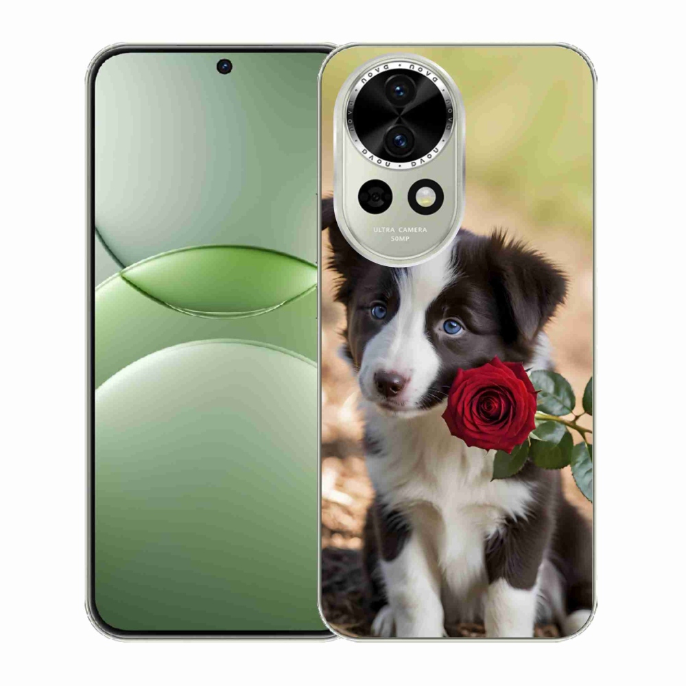Gelový kryt mmCase na Huawei Nova 13 5G - roztomilá border kolie s růží