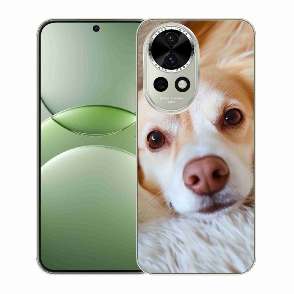 Gelový kryt mmCase na Huawei Nova 13 5G - Roztomilá čivava